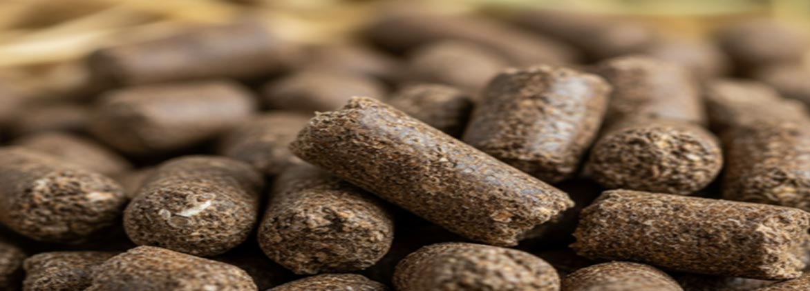 Integrated Animal Feed Production from Agricultural Residues