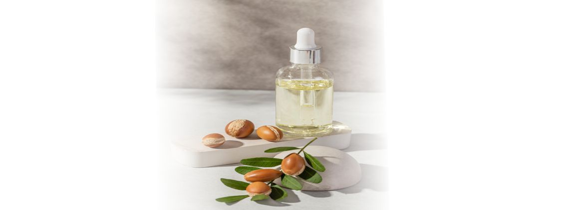 Production of Jojoba Oil